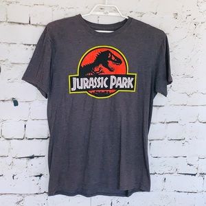Mens JURASSIC PARK Distressed Gray Size XL T-SHIRT